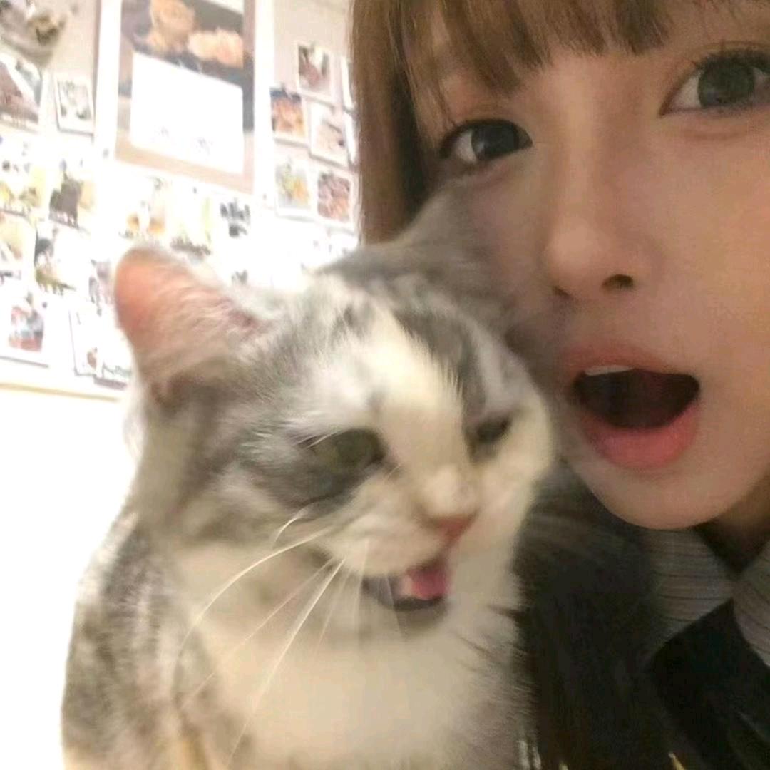 每天只睡24h