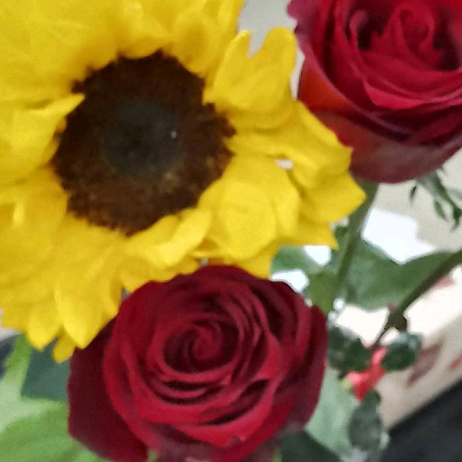 💋緣来💤是李👭