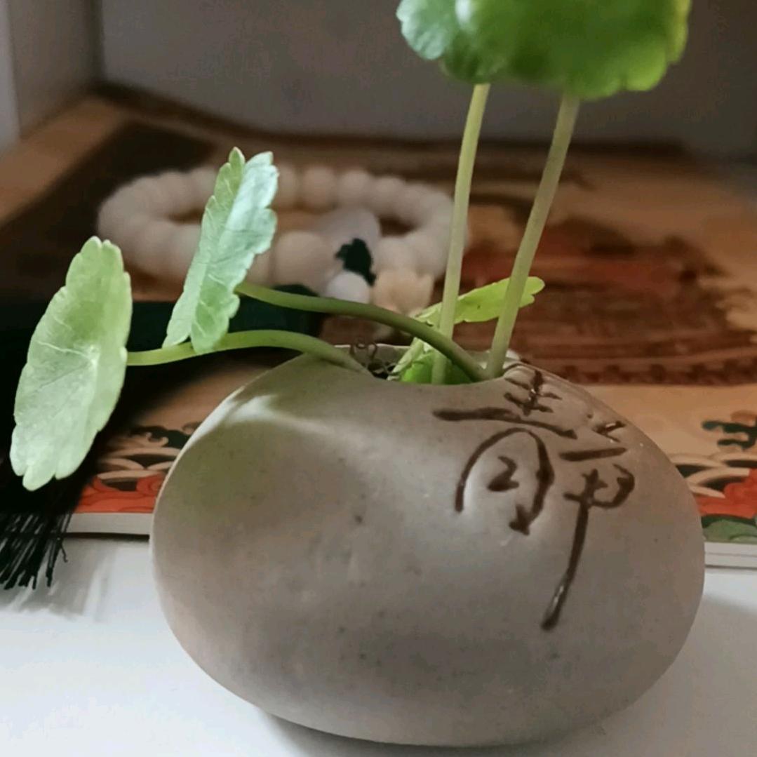 缘来跟着缘走🌟妙恋