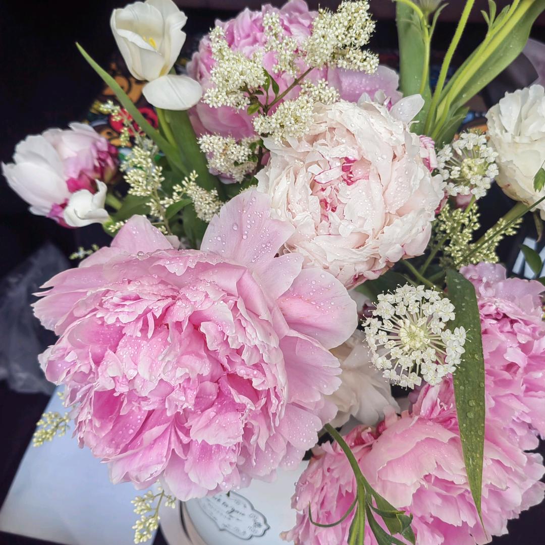 💞梦℘࿐ᩚ瑶℘࿐ᩚ