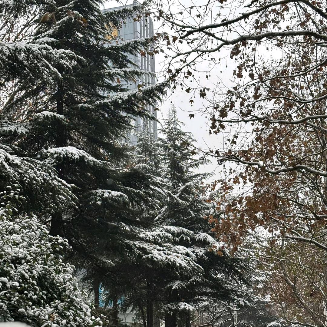 来包辣条✺◟(∗❛ัᴗ❛ั∗)◞✺