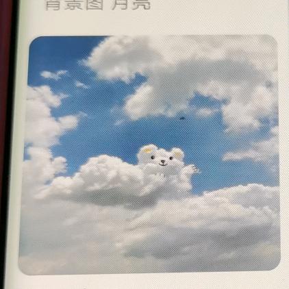 那年夏天的宁静