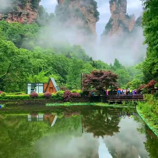 田姐爱旅游