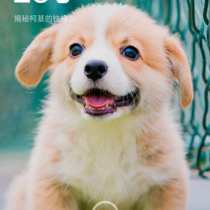 随行