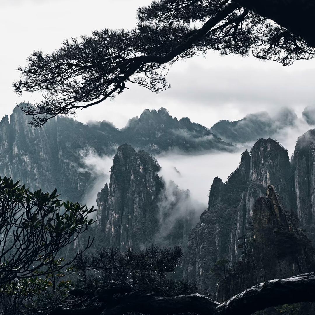 ༺江离༻