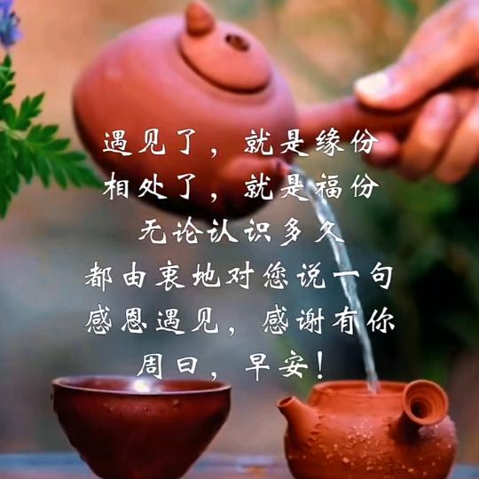 禅茶