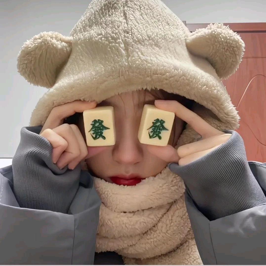 阿呆旅行记（一人三🐱）