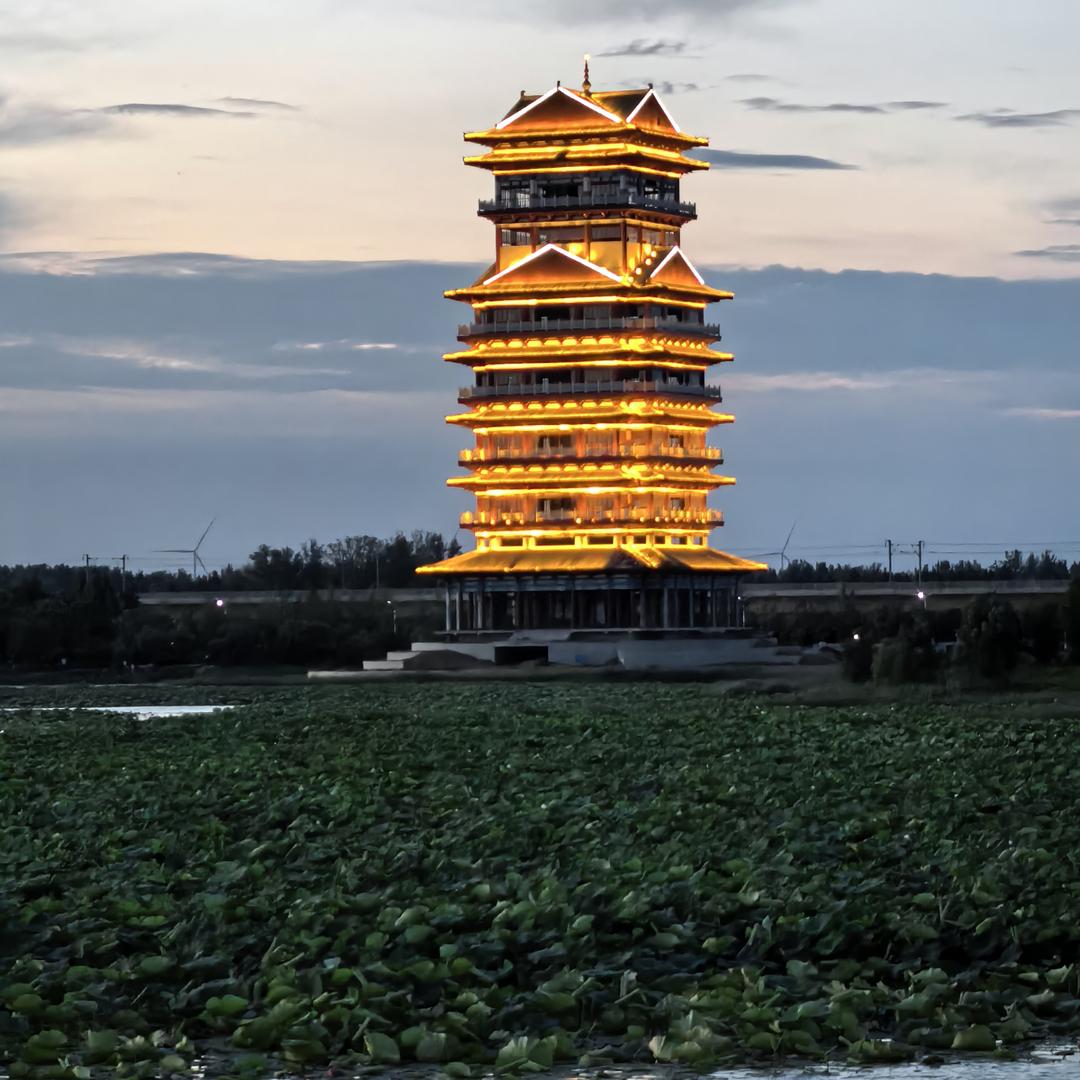 货向阳而生