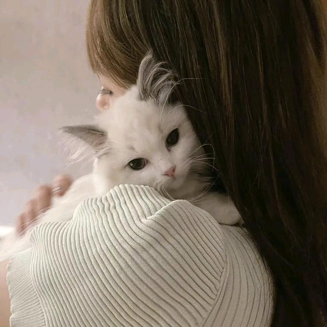 笨小孩love