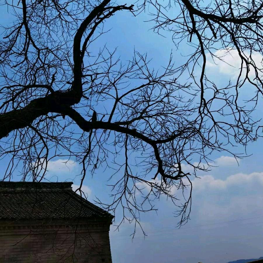 丁丁