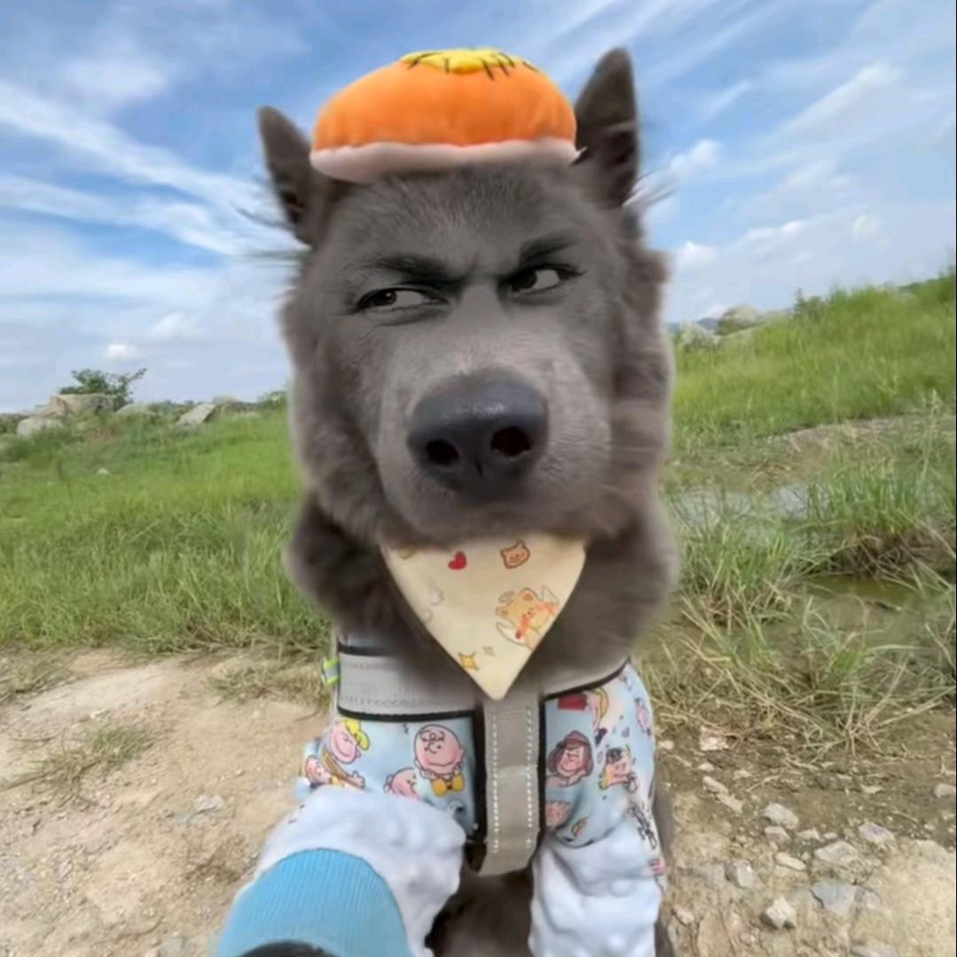 是字迹