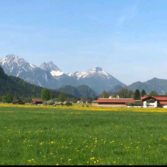 晓蔓…✪ω✪…芯💕茹愿