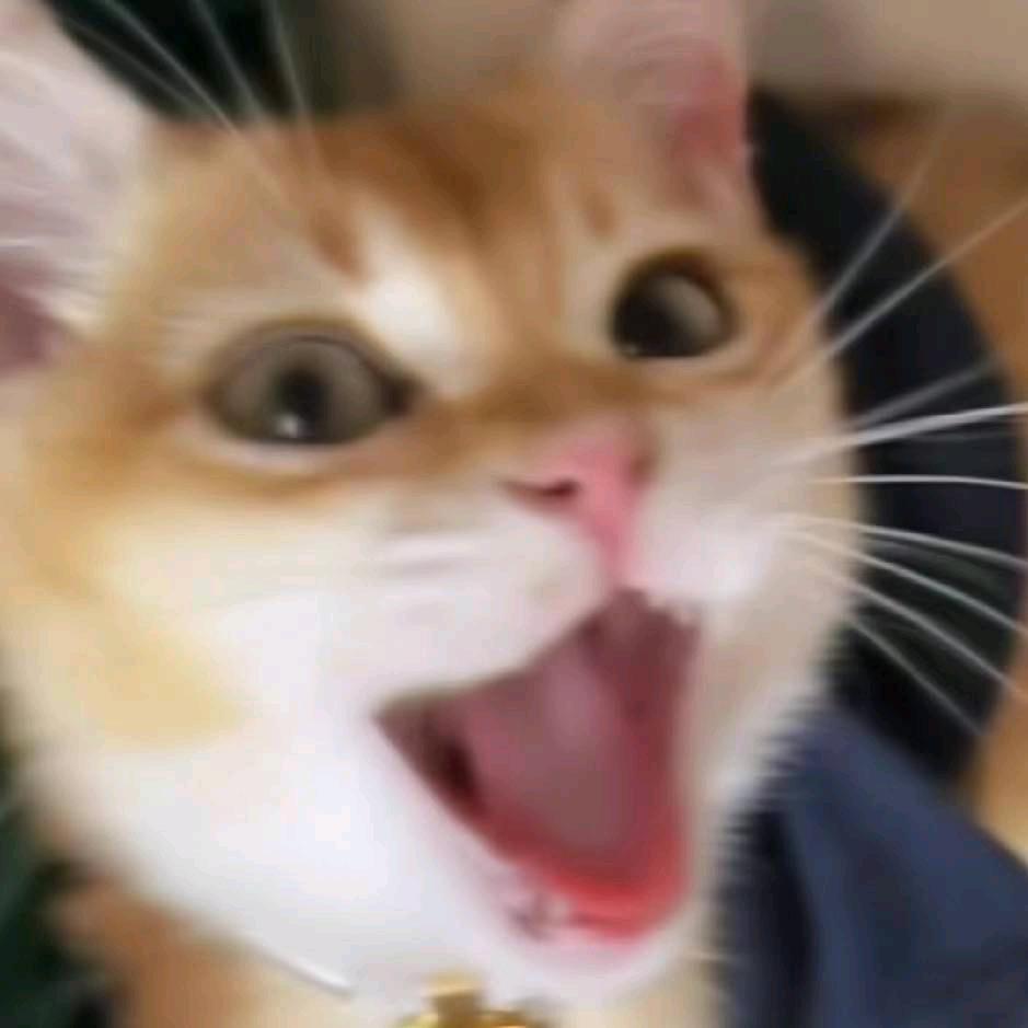 小裴