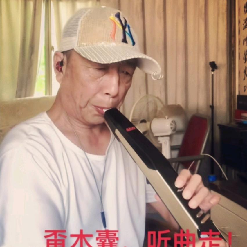 心不动(电吹管老李)
