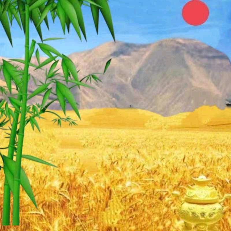 夏一凤 正能量