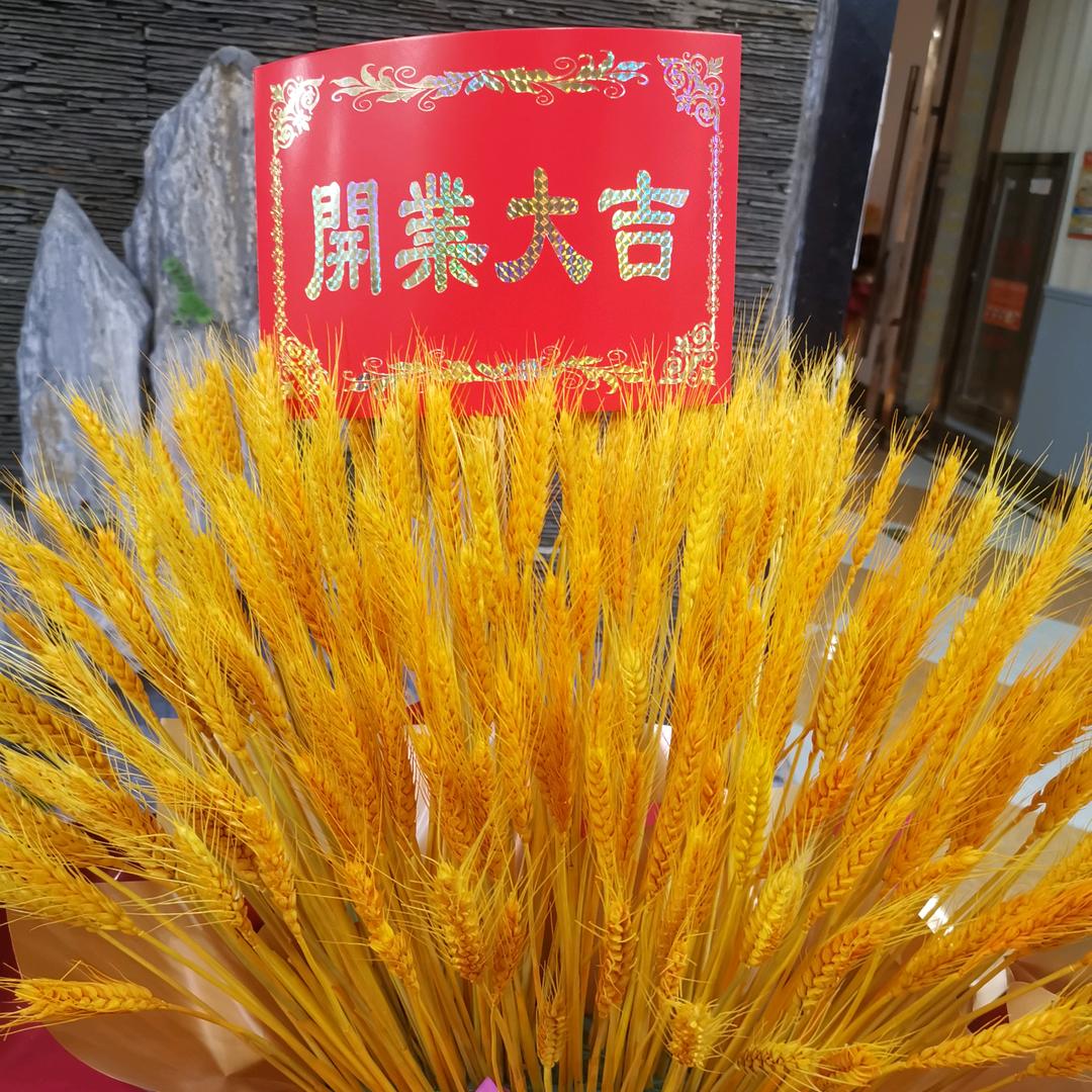 石家庄玩乐