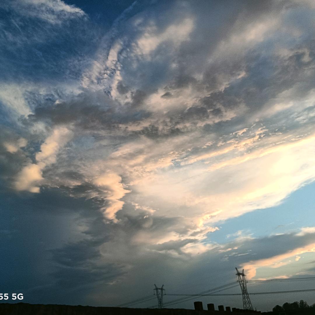 舒庄新鲜牛羊肉