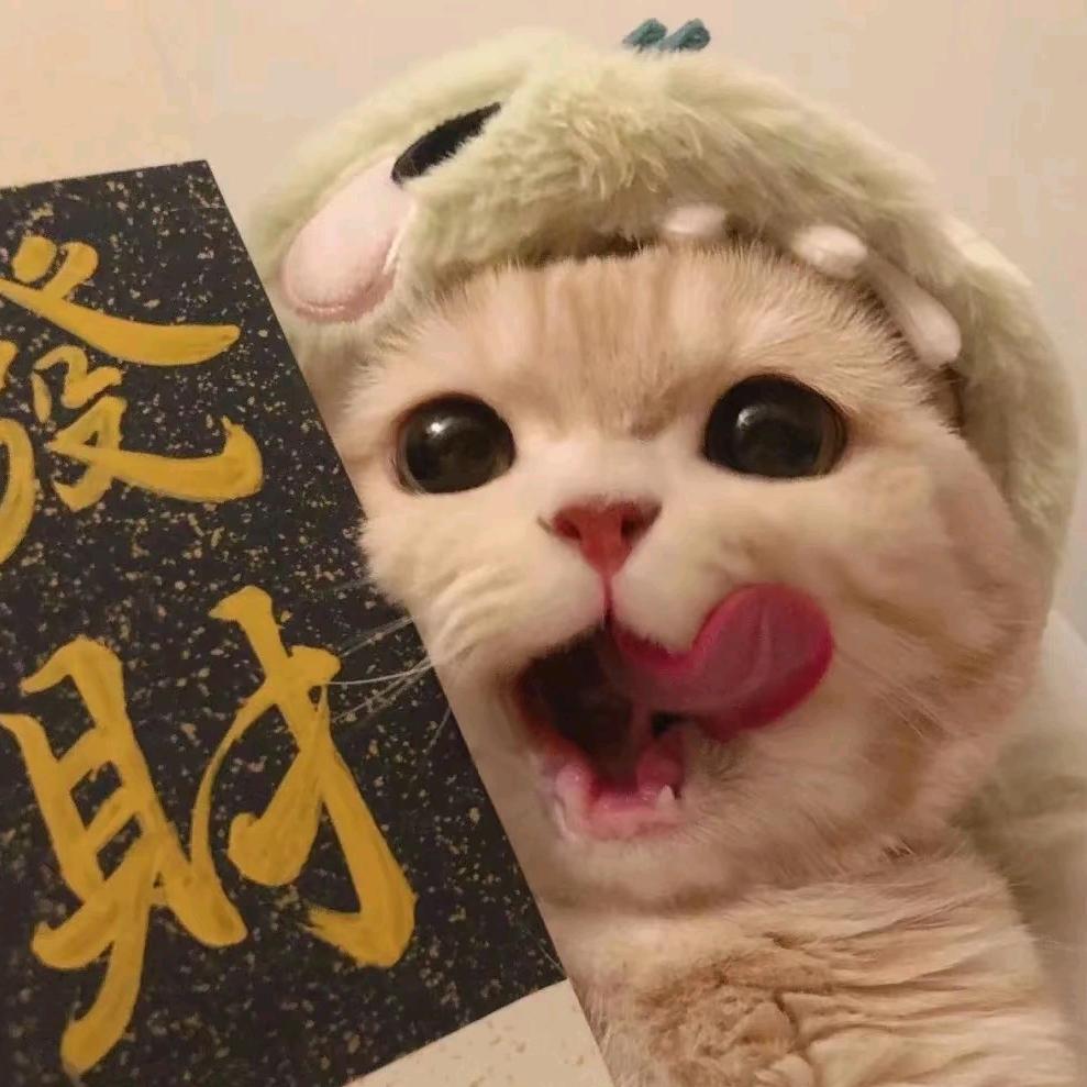 优宠宠物甄选