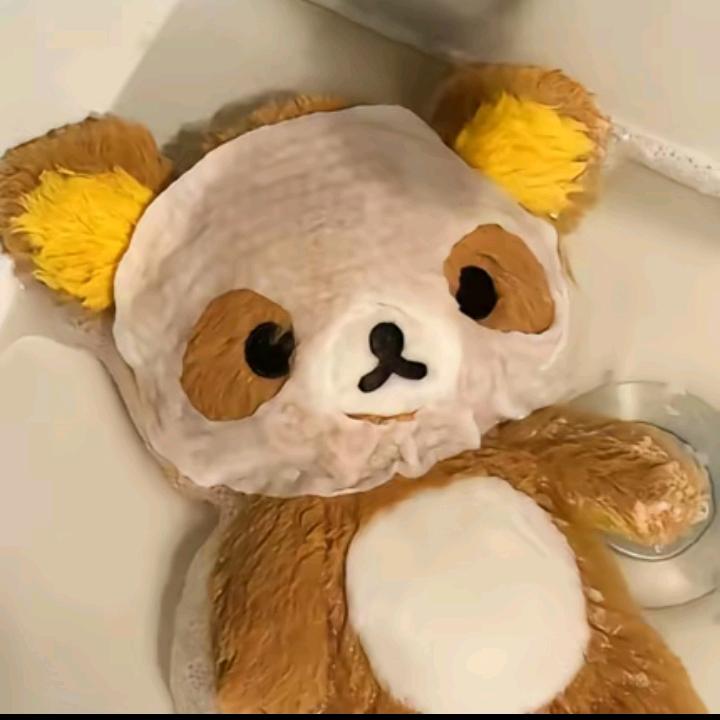讨厌炸毛头像