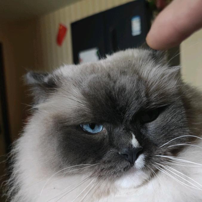 东东东东东东东东东东东东东东东东东东