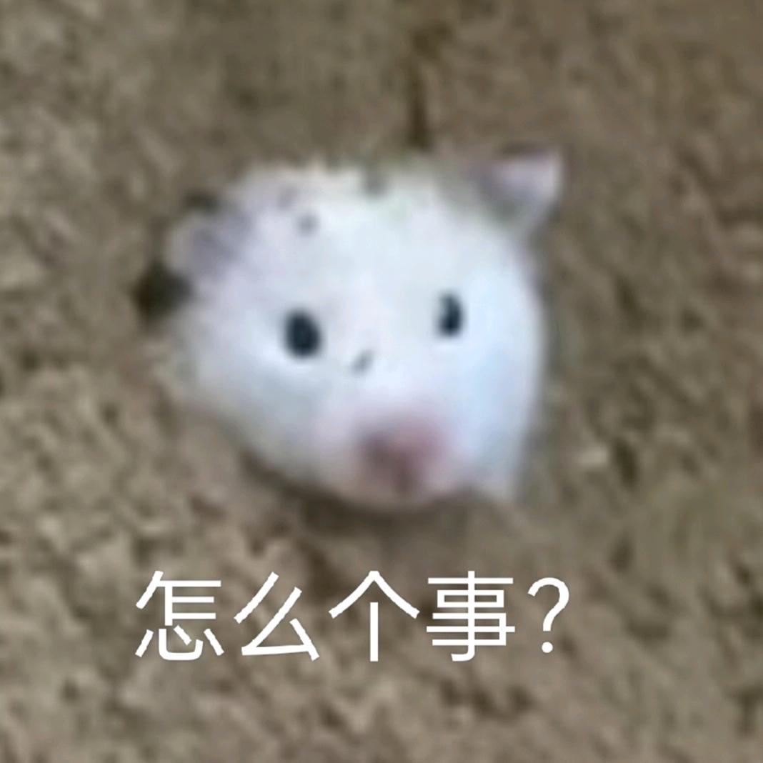 你干嘛哎呦