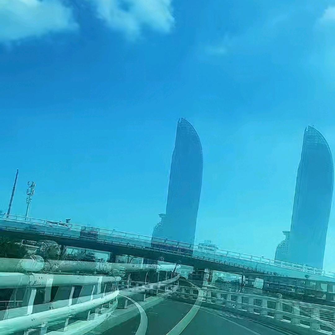 月中带影燕双飞