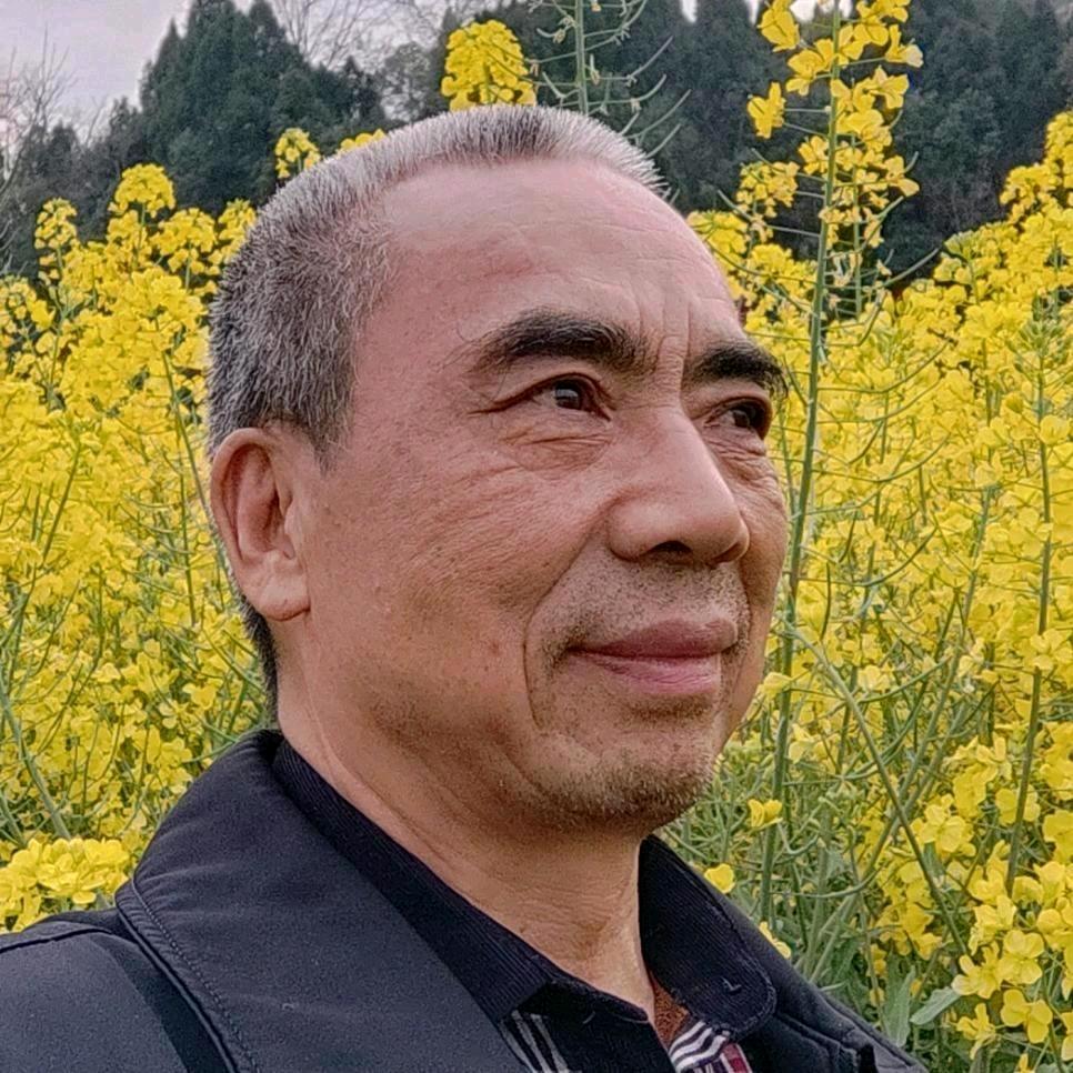 大小伙Al