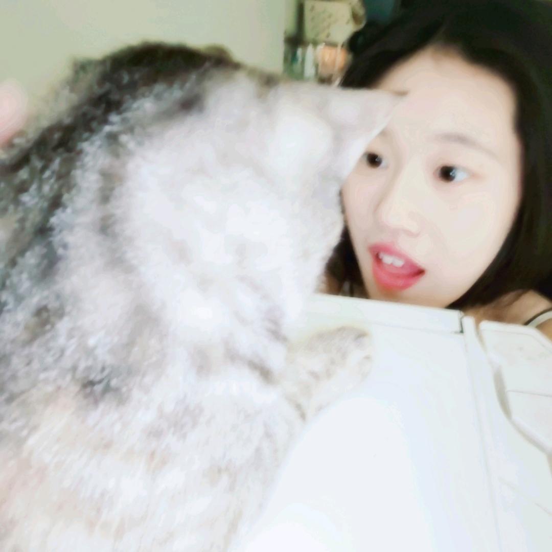 甜奶阿斑