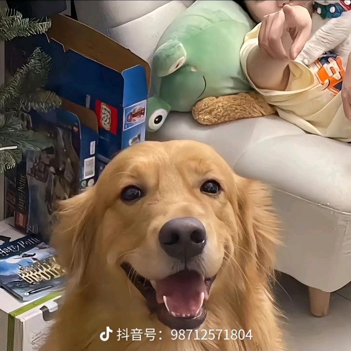 很棒