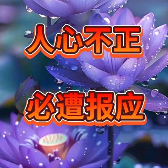 专治美女失眠减肥睡不着