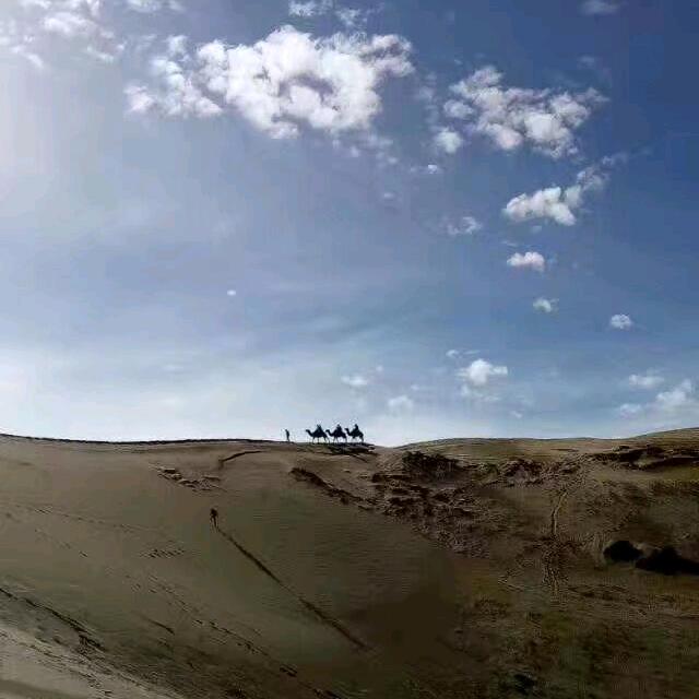 寻梦
