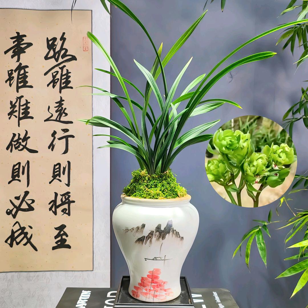 闽酷农业