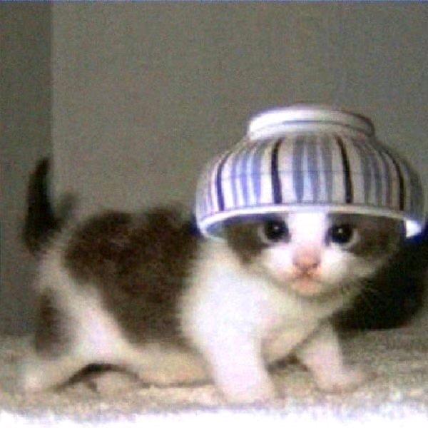 午夜失眠在厕所忧郁蹲坑的纯情大帅哥