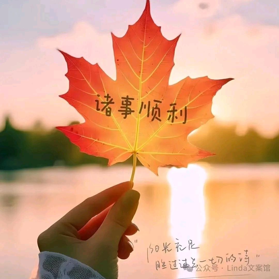 糊涂点便是晴天🎙🔥🍎