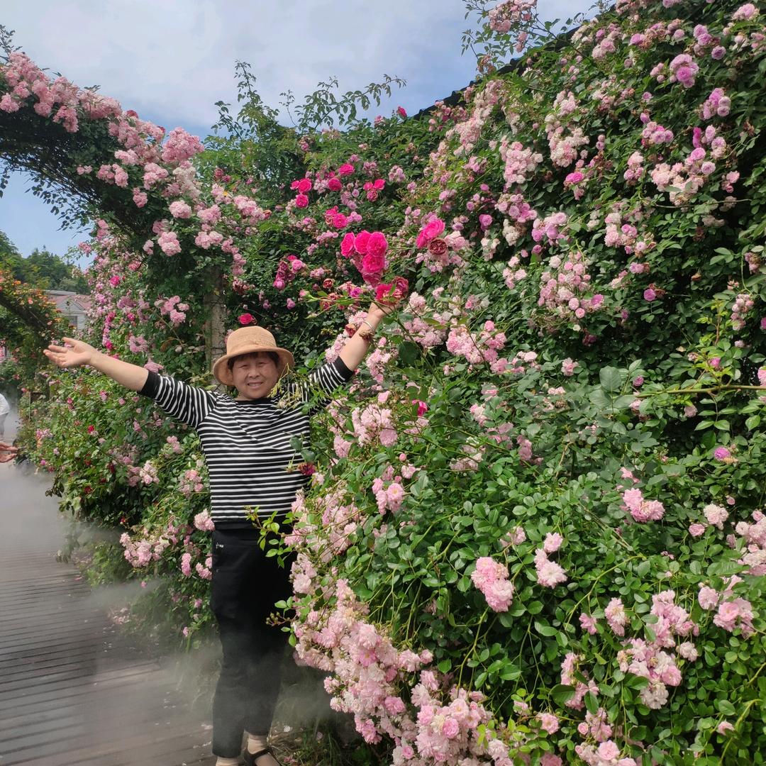 桐桐奶奶