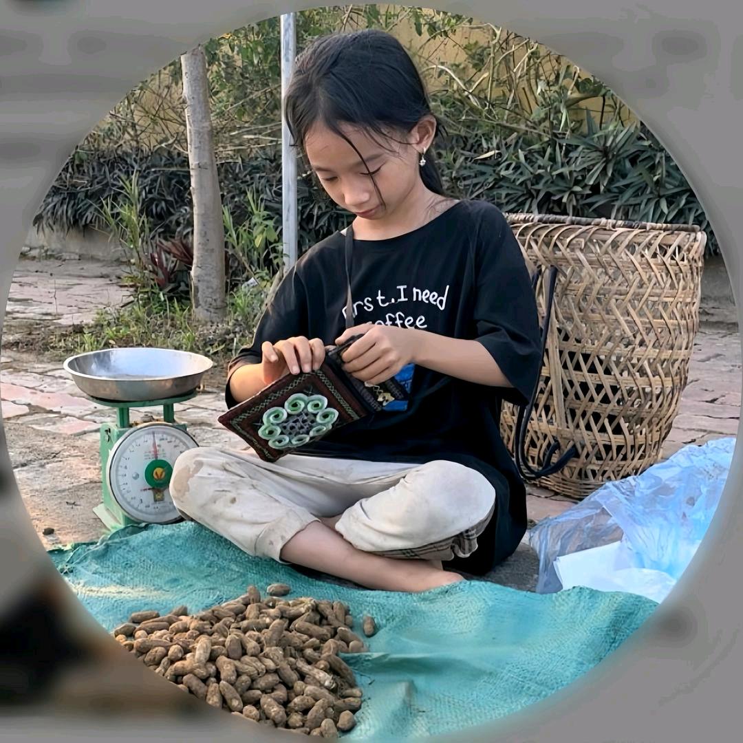 阿梅的独居生活