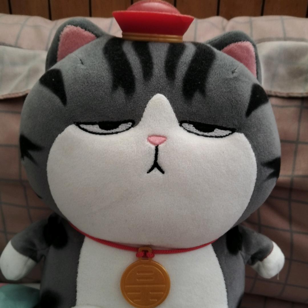 丹丹首播