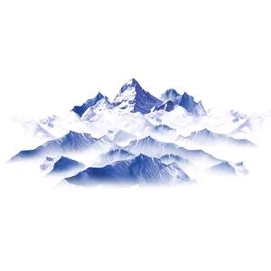 广州枝丽咨询有限公司生活宣传直播号