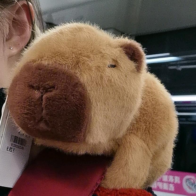 嘎嘎嘎嘎鸭
