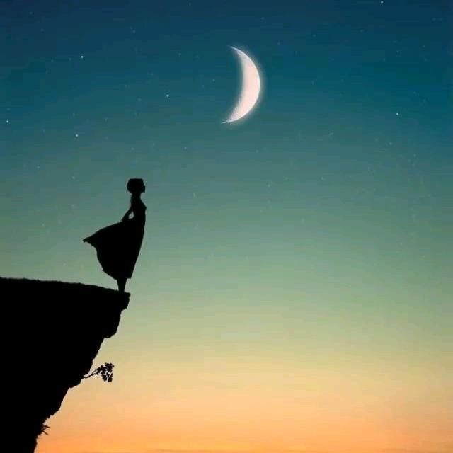 ༺半是清醒半是伤༻