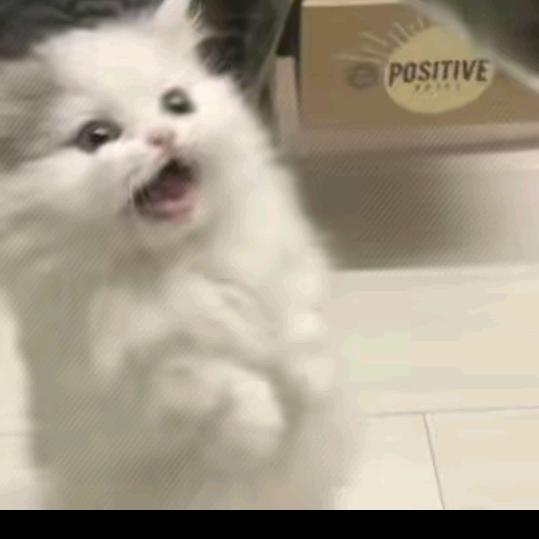 冷月ζั͡ޓއއއ๓情