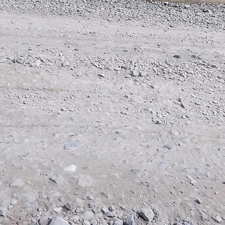 林登进