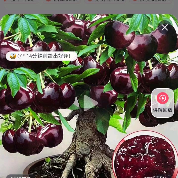 诚心相待