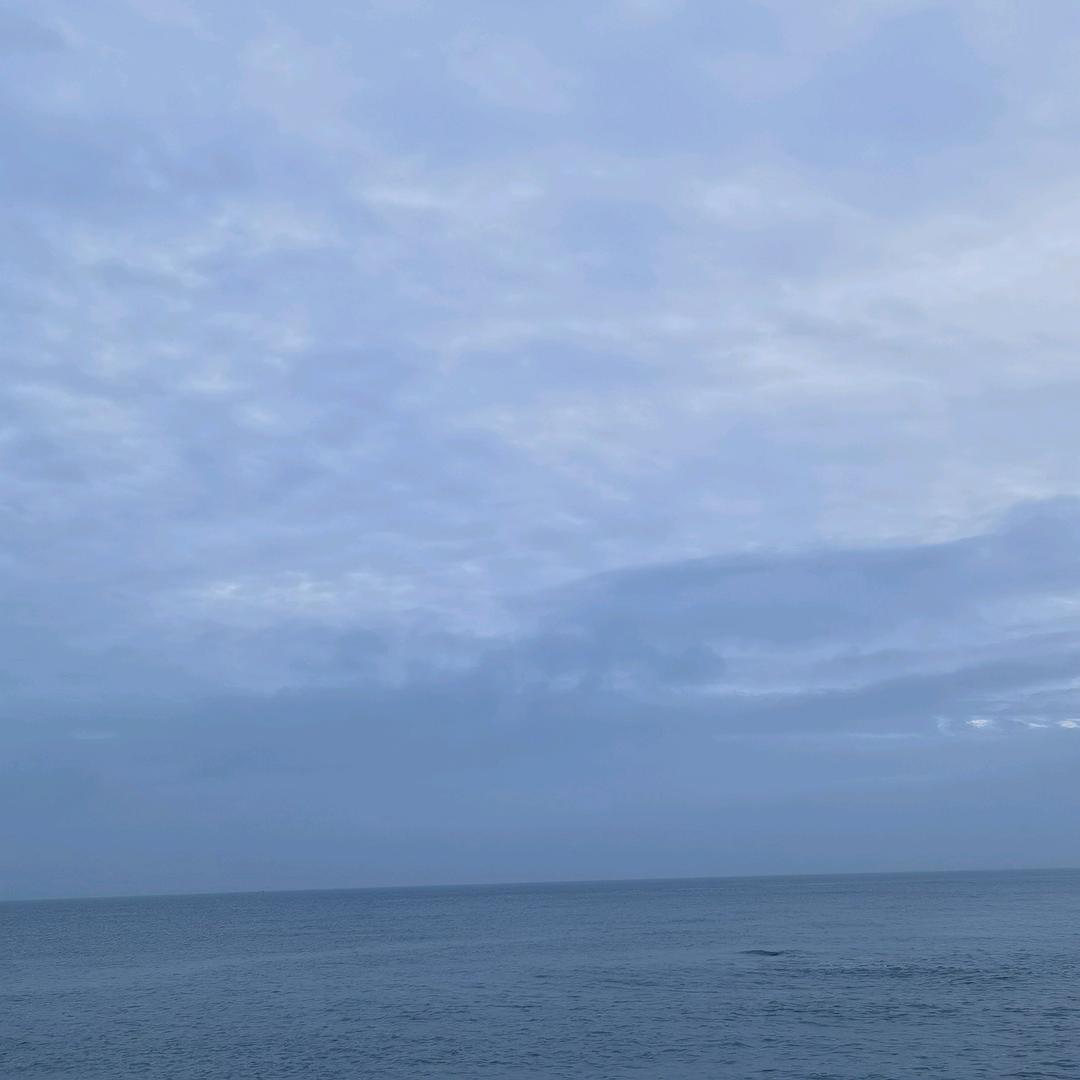 半盏流年,暮。