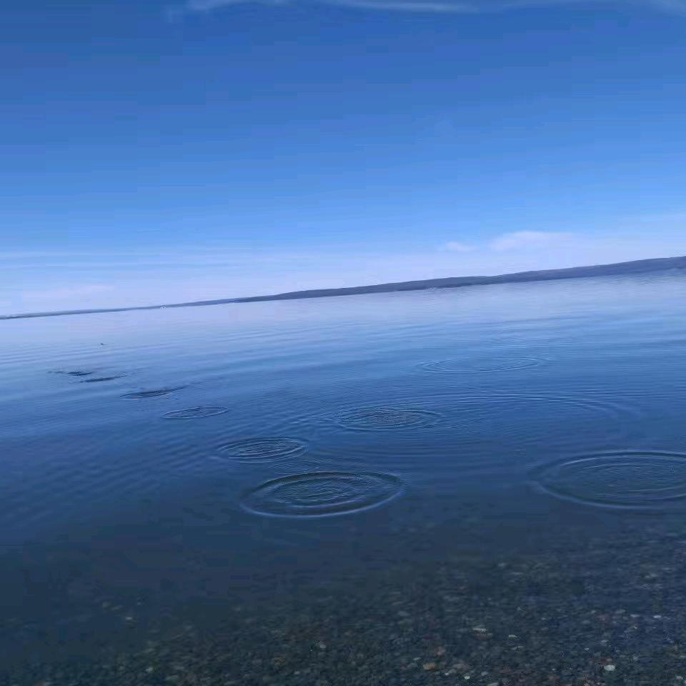 琦