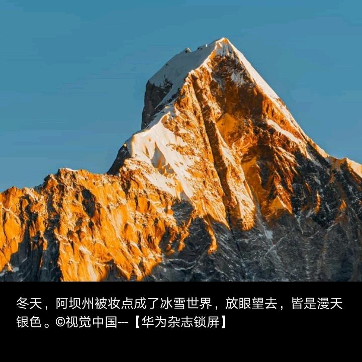 [沉默是金]      [言多必失]🐎