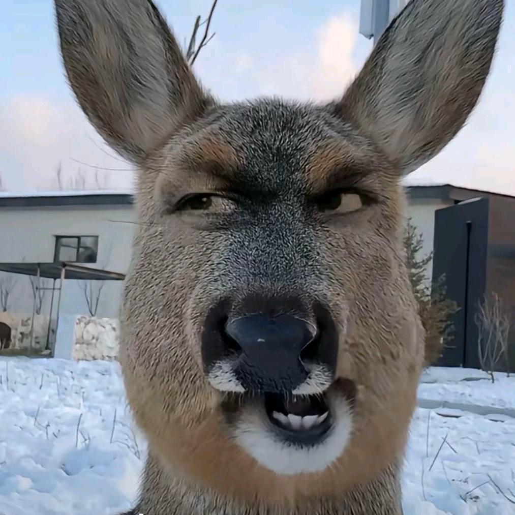 放个屁给你吃🌹