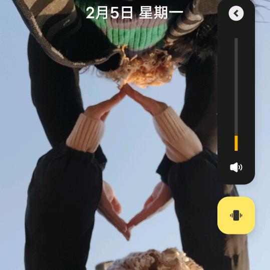 三只超美熊