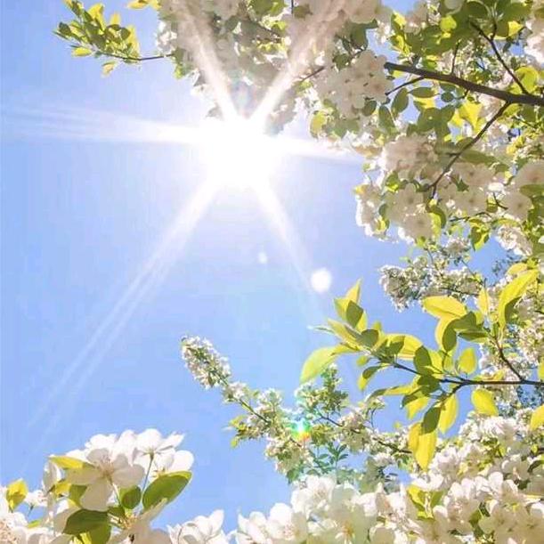 夏