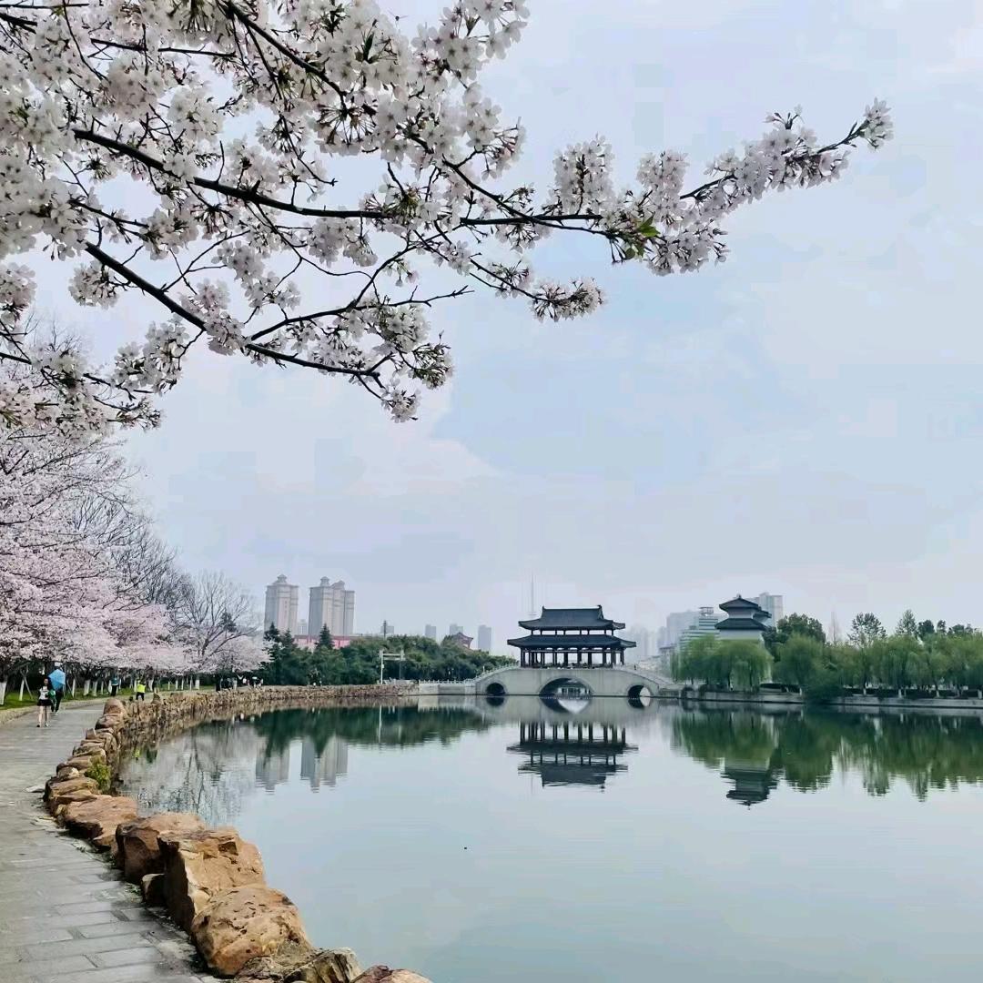 莉丽姐
